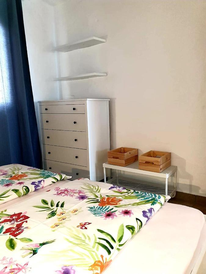 科斯塔卡玛Casa Lirio公寓 外观 照片
